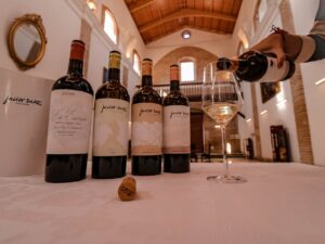 Cata de vino - Javier Sanz Viticultor