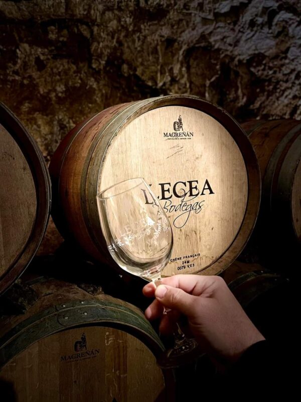Bodegas Lecea. Wine tour visit